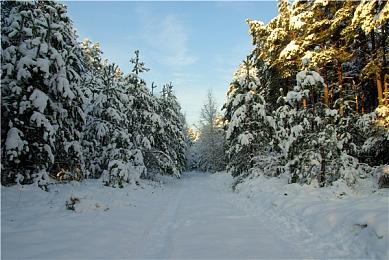 《电锯甜心RePOP》11月登陆PS4和Xbox One 仅提供数字版